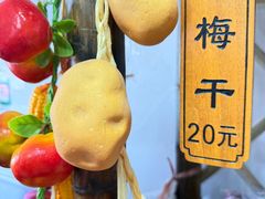 -苏州市吴中区光福窑上花果蜜饯厂