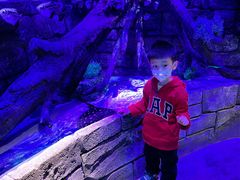 -沈阳海洋探索中心