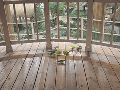 -南宫五洲植物乐园