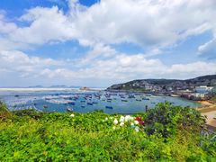 -枸杞岛