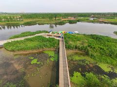 -春花秋色城市公园