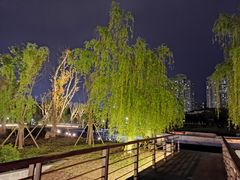 -沐仙湖湿地公园