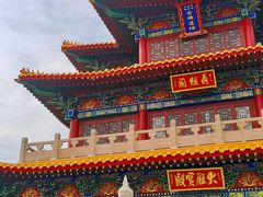 -曹州牡丹园