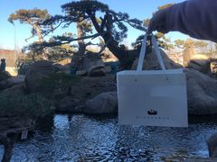 -罗红摄影艺术馆