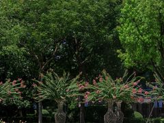 -杭州城北体育公园