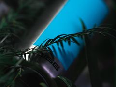 -维乐口腔医院(星海湾分院)
