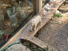 -麒麟中餐厅·经典粤菜·地道菜式老字号(广州长隆酒店)