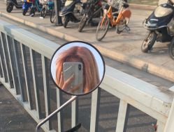 -蚂蚁造型沙龙