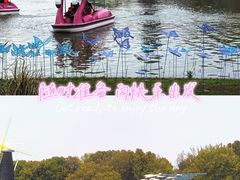 -上海鲜花港