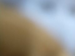 -额尔敦·品质自助(摩尔城店)