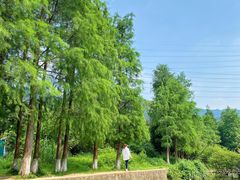 -马峦山郊野公园