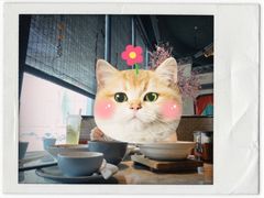 -杏花堂山西菜馆(壹方城店)