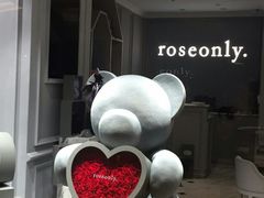 -ROSEONLY诺誓(磐基中心店)