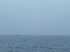 -东疆建设开发纪念公园
