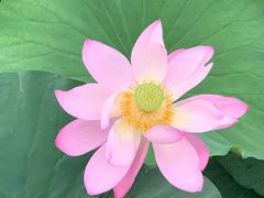 -哈尔滨大剧院