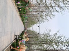 -南宫五洲植物乐园