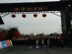 -泗洪洪泽湖湿地景区