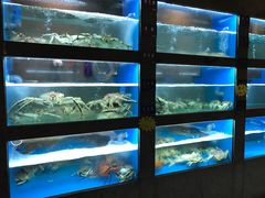 水产区-海上明月海鲜火锅 鲜切牛肉
