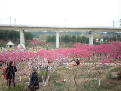 -秀丽东方