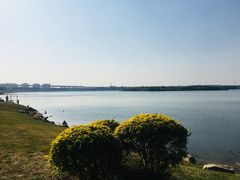 -丁香湖公园