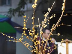 -悟饮门市景店