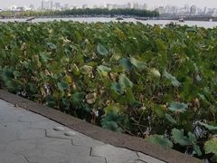 -可莎蜜儿(湖墅南路店)