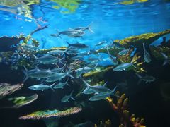 -华夏文旅西安度假区