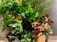 -唐沫茶兮(仓山万达金街店)