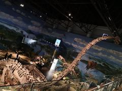 -自贡恐龙博物馆