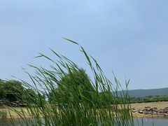 -钟山体育运动公园
