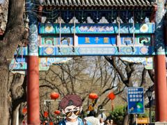 -北京国子监胡同