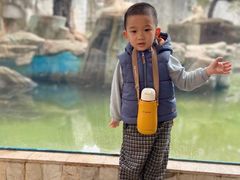 -灵玲国际马戏城