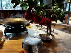 -唐猫庭院·千年陕菜(大唐不夜城店)