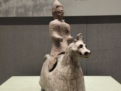 -河北博物院