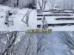 -中旅松花湖滑雪场