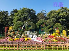 -上海共青森林公园