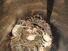 -鼎香缘海鲜自助火锅烤肉(锦辉购物广场店)