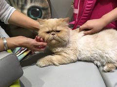 -小时光咖啡馆(开森度假森林店)