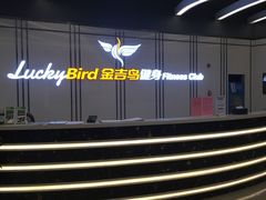 -金吉鸟健身游泳