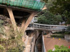 -香港大学