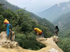-罗田天堂寨风景区