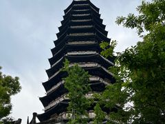 -红梅公园