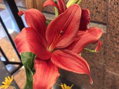 -北京贵宾楼饭店 红墙咖啡厅