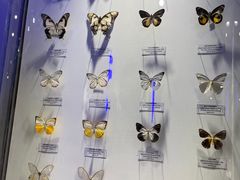 -吉林省自然博物馆