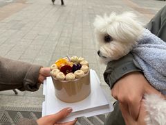 -小淘圆儿·四季口味蛋糕