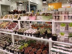 -KKV(天津津南吾悦广场店)