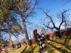 -阳台山自然风景区