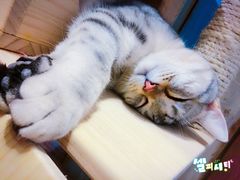 -小时光咖啡馆(开森度假森林店)