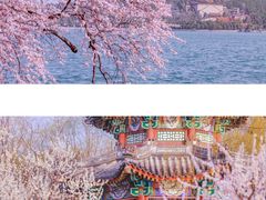 -颐和园