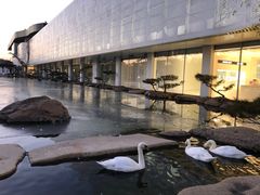 -罗红摄影艺术馆